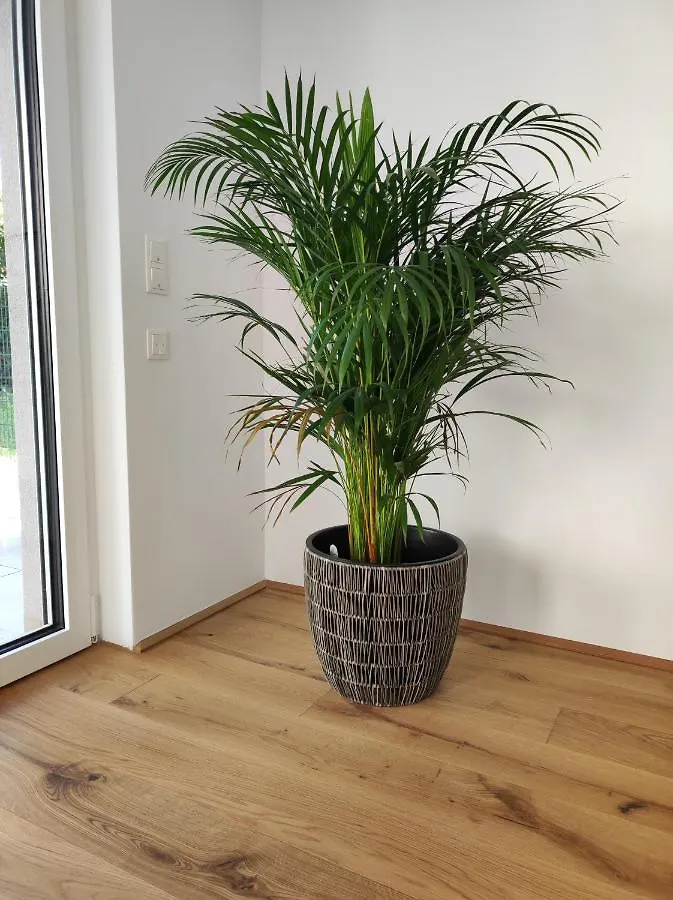 Roksox-Home Apartment Gegenueber Der Uno-City Und Kaiserwasser Vienna 0*,  Austria